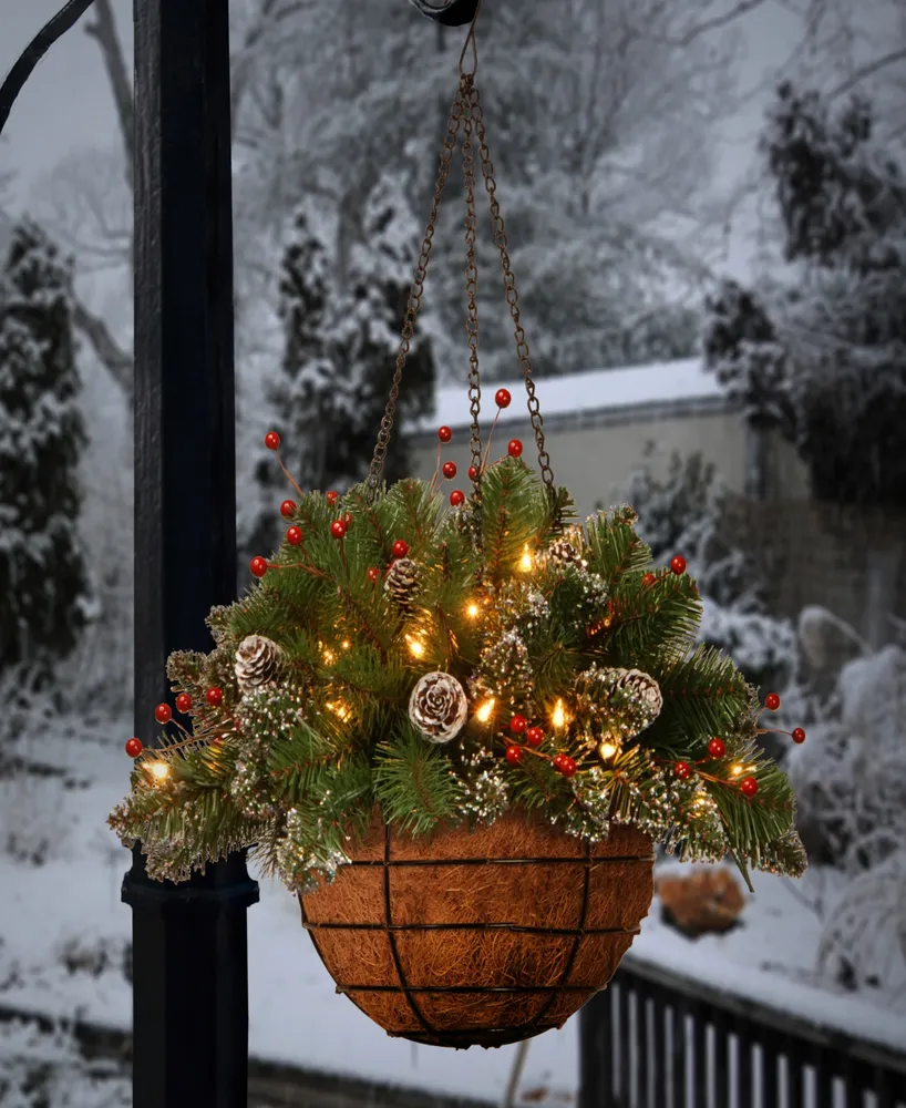 National Tree Company 20" Glittery Mountain Spruce Hanging Basket with White-Edged Cones, Red Berries and 35 Battery Operated Warm White Led Lights