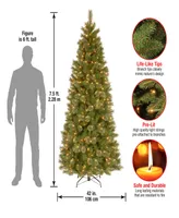 National Tree Tacoma Pine Slim With 500 Clear Lights