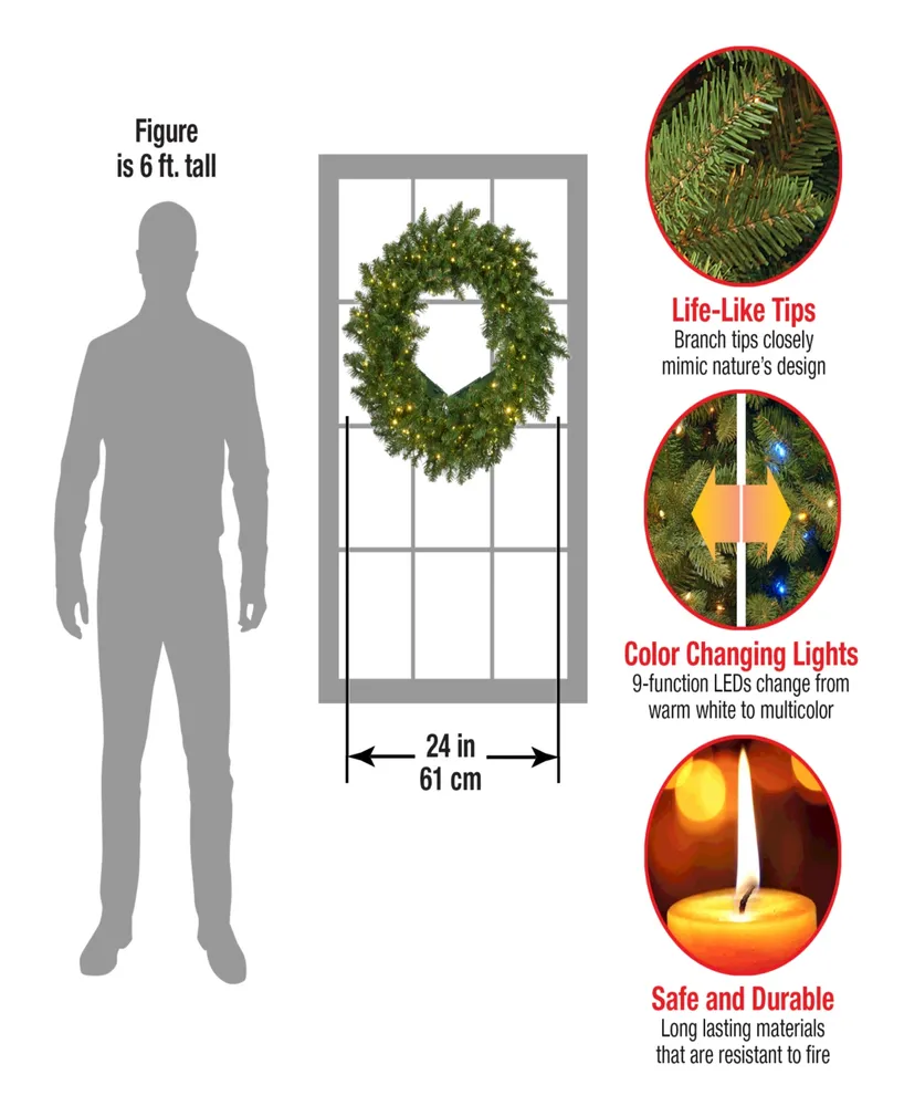 National Tree Company 24" Kingswood Fir Wreath with 250 Battery Operated Infinity Lights