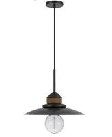 Mineola 11.75" Height Metal Pendant