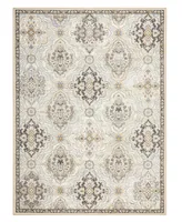 Town & Country Living Everyday Avani Everwash 5'2" x 7'2" Area Rug