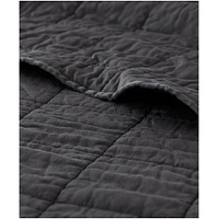 Pact Organic Cotton Quilted Comforter