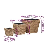 vidaXL Raised Beds 3 pcs Water Hyacinth