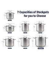 Cooks Standard Stockpots Stainless Steel, 11 Quart Professional Grade Stock Pot with Lid, Silver