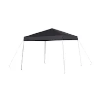 Tamar 10'X10' Weather Resistant, Uv Coated Pop Up Canopy Tent With Reinforced Corners, Height Adjustable Frame And Carry Bag