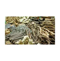 Center Enterprises Natural Wooden Loose Parts Kit