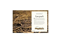 An Anthology of Our Extraordinary Earth by Cally Oldershaw