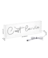 Jonathan Y Cest La Vie Contemporary Glam Acrylic Box Usb Operated Led Neon Light