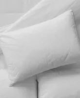 Sobel Westex Sahara Nights 100% Cotton Cover Medium Density Pillow