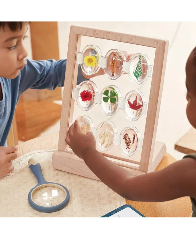 Kaplan Early Learning Specimen Stone Tabletop Stand