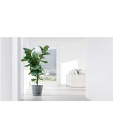 Ecopots Venice Indoor and Outdoor Planter with Water Reservoir