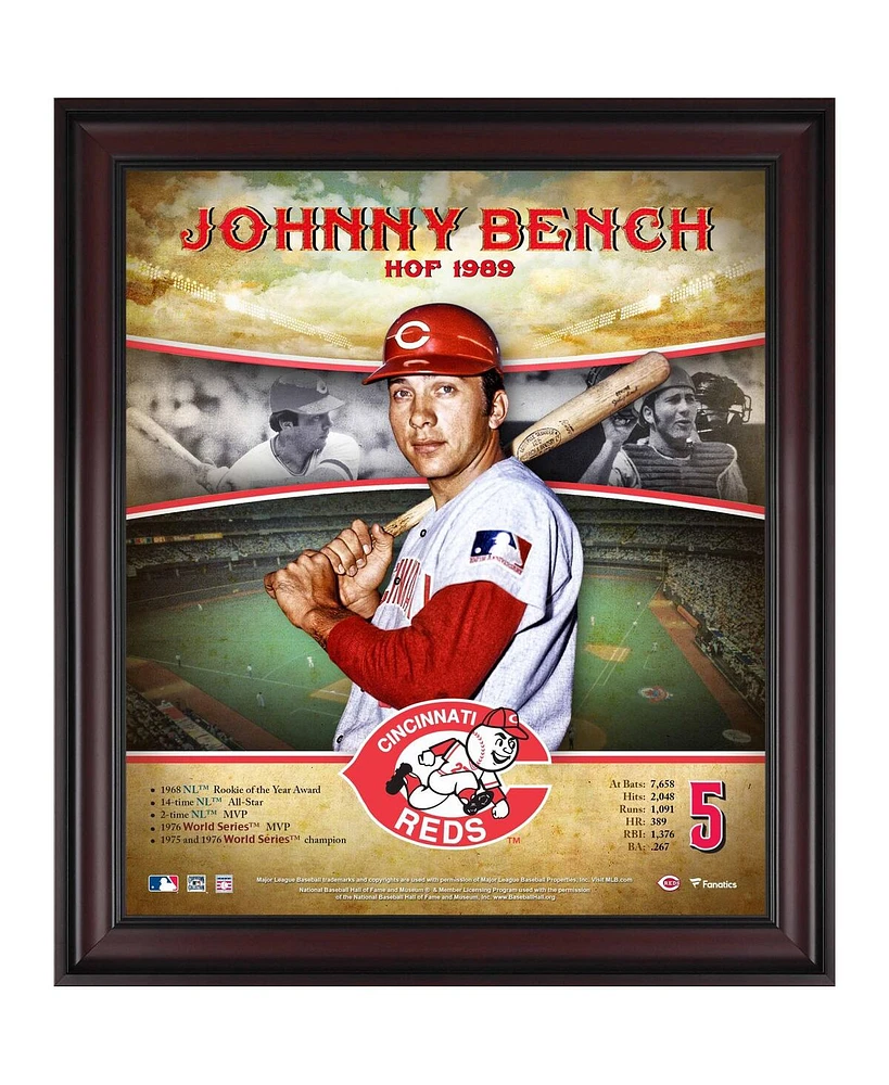 Johnny Bench Cincinnati Reds Framed 15" x 17" Hall of Fame Career Profile