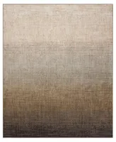 Drew & Jonathan Home Milestones Mankota 8' x 10' Area Rug