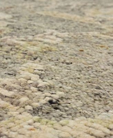 Karastan Coventry Kenilworth Area Rug