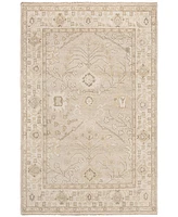 Safavieh Izmir IZM134 6' x 9' Area Rug