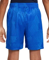 Nike Big Boys Multi Dri-fit Shorts