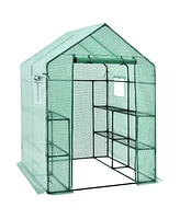 Walk-in Greenhouse 56 x 56 x 77 Inch Gardening with Observation Windows