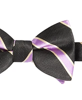 Tayion Collection Men's Purple & Gold Stripe Bow Tie