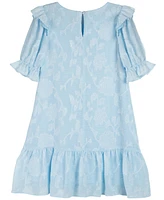 Rare Editions Toddler Girls Floral Burnout Chiffon Dress