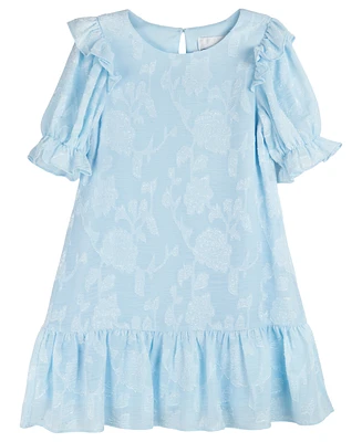 Rare Editions Toddler Girls Floral Burnout Chiffon Dress