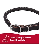 Coastal Pet Circle T by Latigo Leather Twist Dog Leash with Brass Hardware (6') & Latigo Leather Round Dog Collar (3/8" x 18")