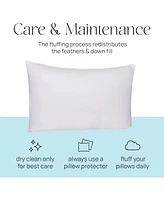 East Coast Bedding Elite European Down Dream Queen Pillow 800 Fill Power