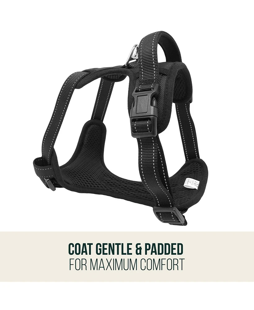 Adjustable Padded and Reflective Safety Harness for Dogs