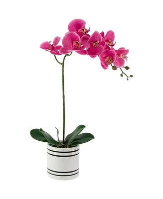 Northlight 2" Artificial Spring Orchids in a Striped Ceramic Pot