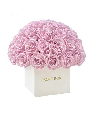 Rose Box Nyc Half Ball of Long Lasting Preserved Real Roses in Square Classic Ceramic Vase, 35 Roses