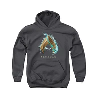 Aquaman Movie Boys Youth Water Shield Pull Over Hoodie / Hooded Sweatshirt