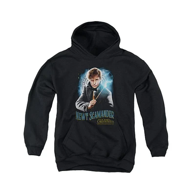 Fantastic Beasts Boys Youth Scamander Monogram Pull Over Hoodie / Hooded Sweatshirt