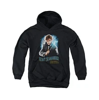 Fantastic Beasts Boys Youth Scamander Monogram Pull Over Hoodie / Hooded Sweatshirt