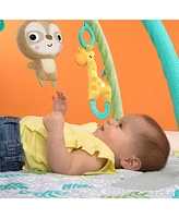 Hug ‘n Cuddle Activity Gym