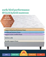 Corsicana Early Bird 10" Medium Mattress