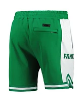 Men's Pro Standard Green Florida A&M Rattlers Script Tail Dk 2.0 Shorts