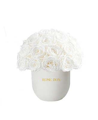 Rose Box Nyc Half Ball of Pure White Long Lasting Preserved Real Roses in Classic Ceramic Vase, 35 Roses