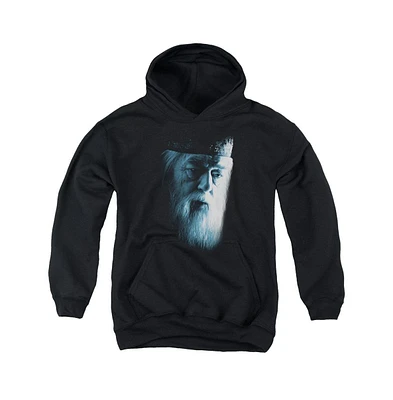 Harry Potter Boys Youth Dumbledore Face Pull Over Hoodie / Hooded Sweatshirt