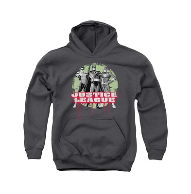 Justice League of America Boys Youth Trio Pull Over Hoodie / Hooded Sweatshirt
