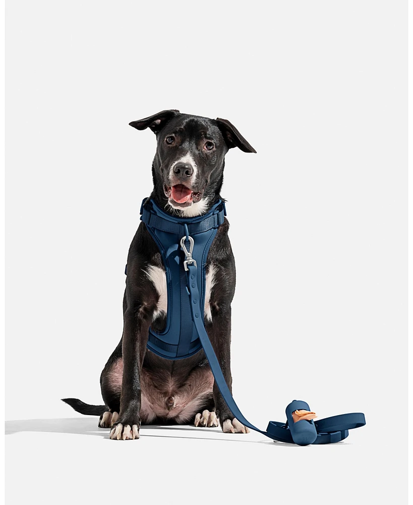 Wild One Navy Adjustable Dog Leash