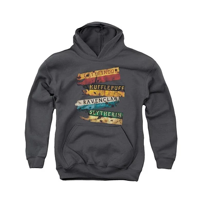 Harry Potter Boys Youth Burnt Banners Pull Over Hoodie / Hooded Sweatshirt