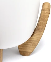 Lalia Home 15" Organix Contemporary Natural Wood Accented Table Desk Lamp with Translucent Glass Shade