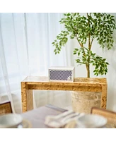 Tivoli Audio Model Two Digital Bluetooth Speaker with Built-In Airplay2, Chromecast, and Wi-Fi