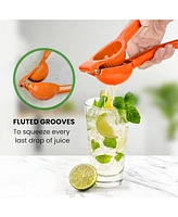 Zulay Kitchen Hydration Nation Orange Squeezer - Single Bowl Metal Citrus Juicer Extracts Oranges Seconds