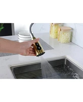 Gold Kitchen Faucets With Pull Down Sprayer, Kitchen Sink Faucet With Pull Out Sprayer