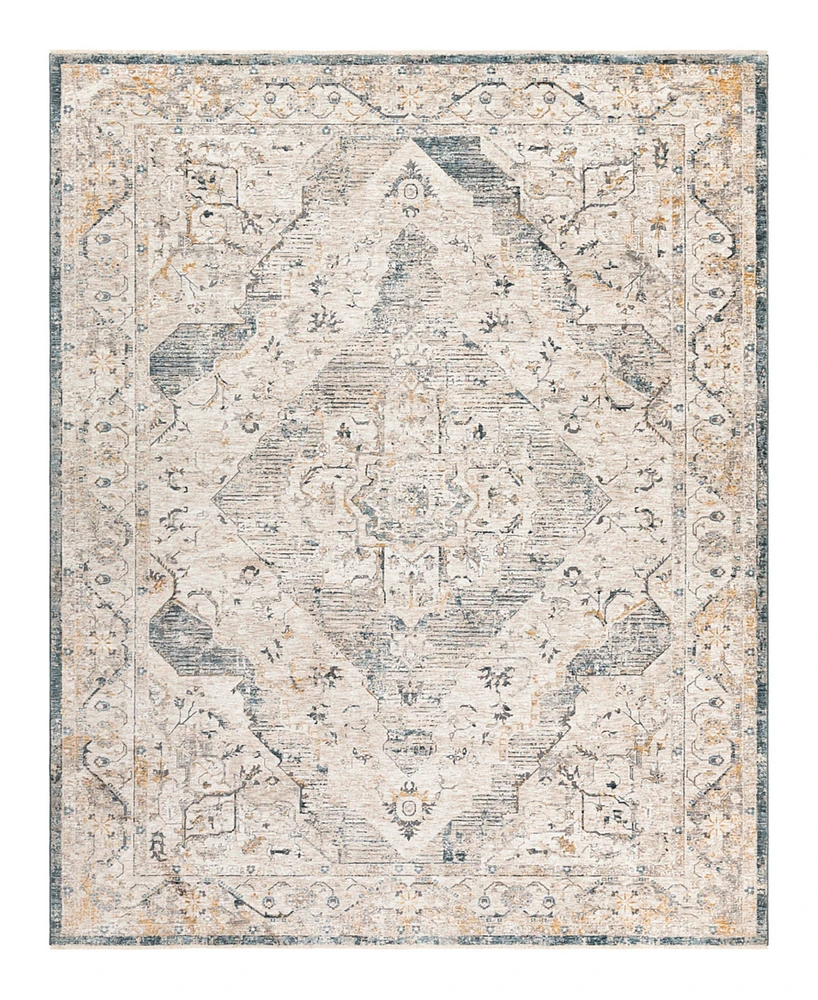 Surya Cardiff Cdf-2303 6'7x9'6 Area Rug - Gray