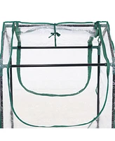 Sunnydaze Decor 2 x 2 ft Steel Pvc Panel Mini Greenhouse with 2 Doors