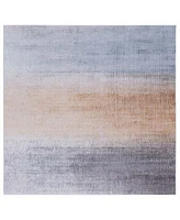 Tacoma Washable Tac816 Rug Collection