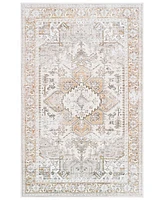 Safavieh Arizona Washable 116 ARZ116 3'x5' Area Rug