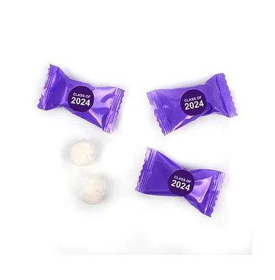 Just Candy Purple Graduation Candy Mints Party Favors Individually Wrapped Buttermints Class of 2024 - 55 Pcs