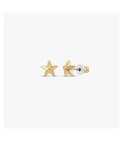 Bearfruit Jewelry Star Stud Earrings